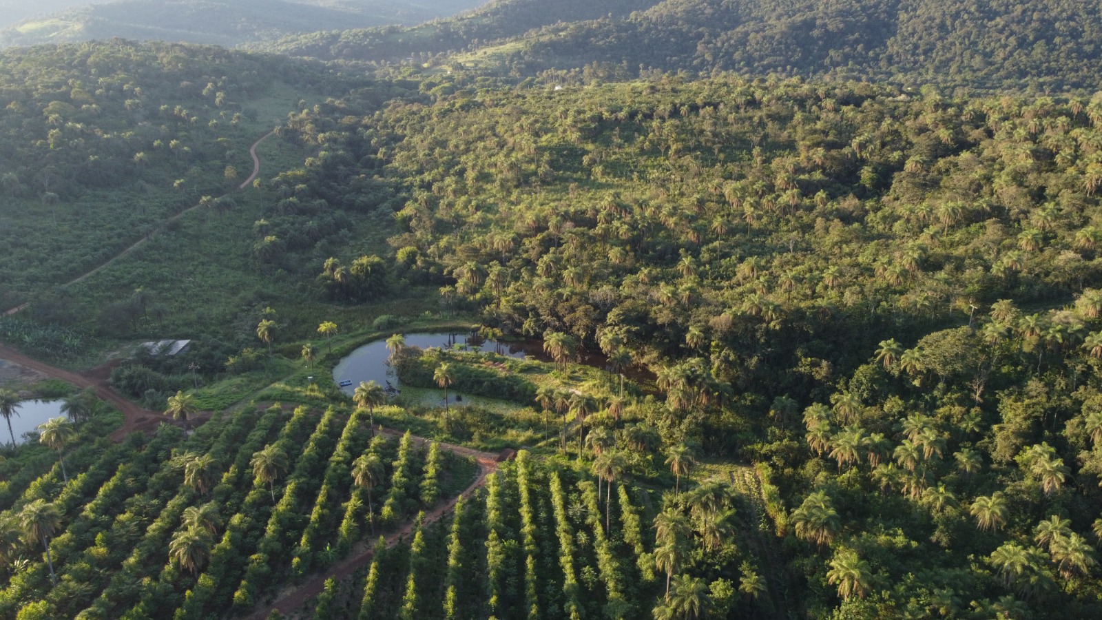 Área agroforestal
